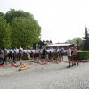 Maibaum 2013